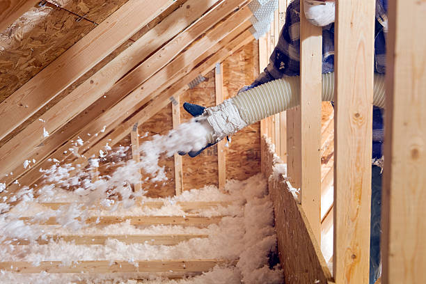 Types of Insulation We Offer in Valley, AL